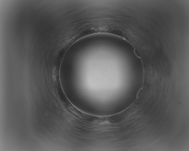 X0000067910747200604201404