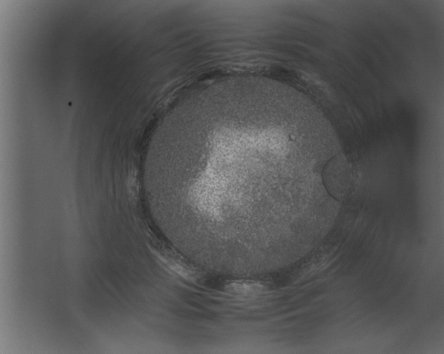 X0000067910749200604201404