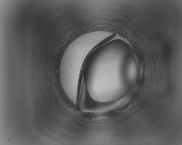 X0000067910750200604201404