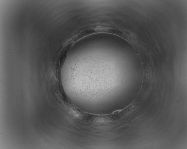 X0000067910755200604201404