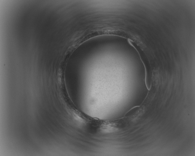 X0000067910760200604201404