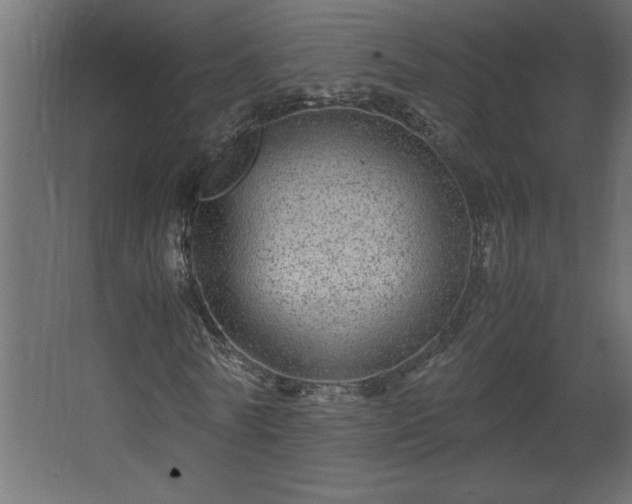 X0000067910770200604201403