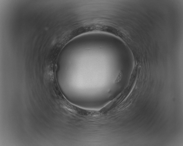 X0000067910771200604201403