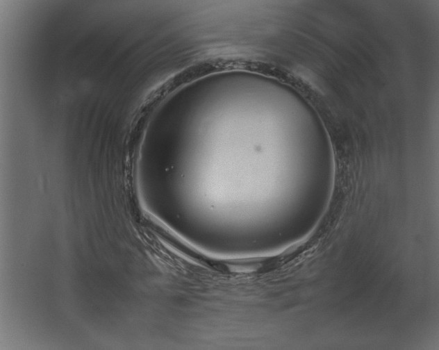 X0000067910775200604201403