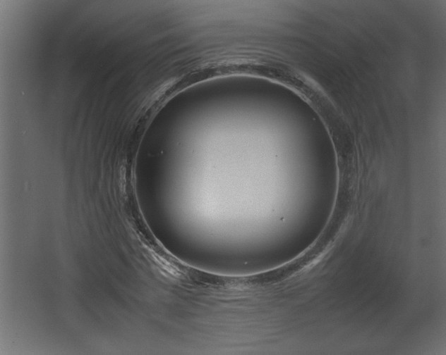 X0000067910777200604201403