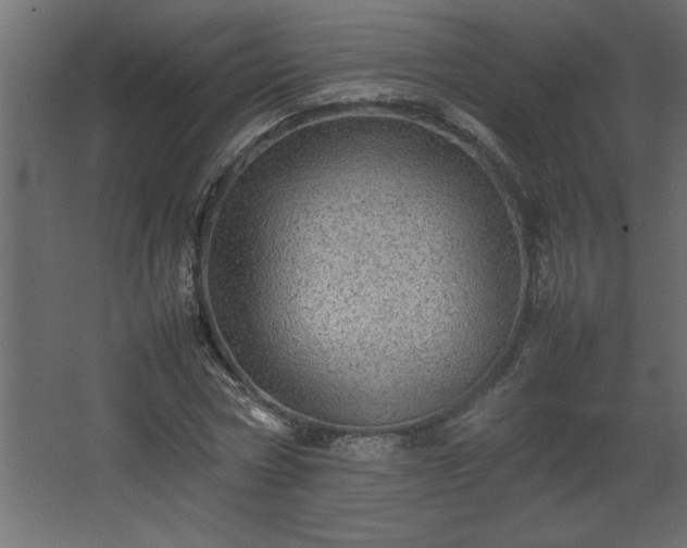 X0000067910778200604201403