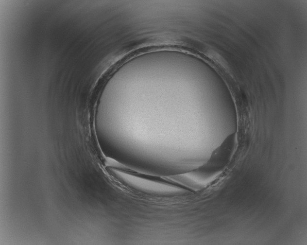 X0000067910781200604201403