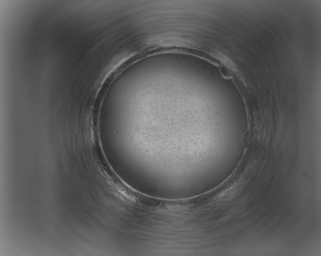 X0000067910782200604201403