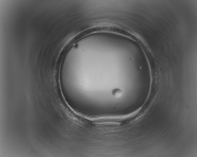 X0000067910783200604201403