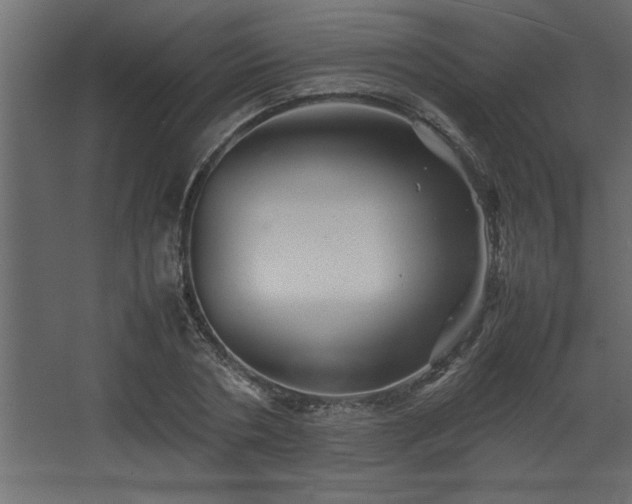 X0000067910786200604201403