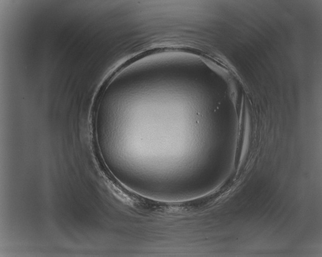 X0000067910787200604201403