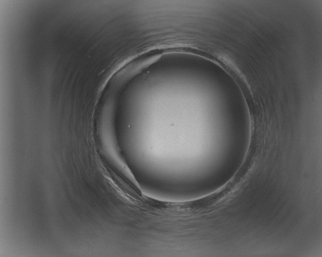 X0000067910789200604201403