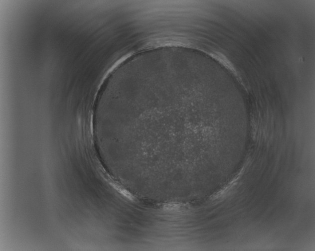 X0000067910790200604201403