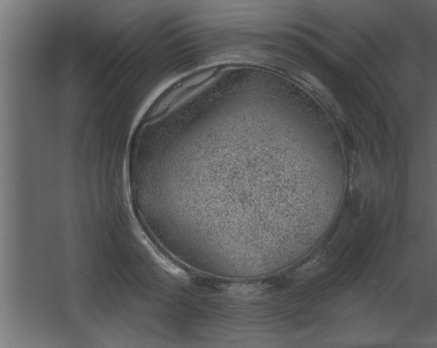 X0000067910796200604201403