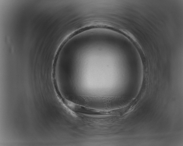 X0000067910799200604201403