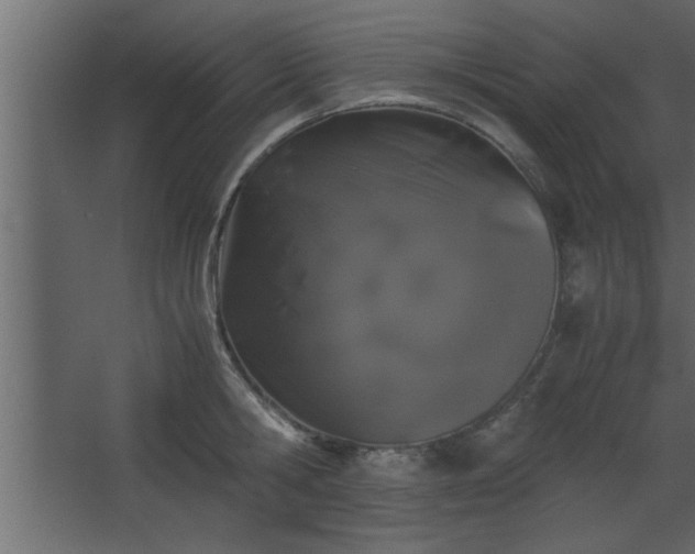 X0000067910806200604201403