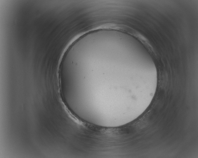 X0000067910808200604201403