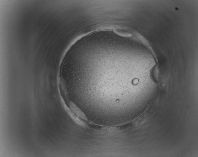 X0000067910811200604201403