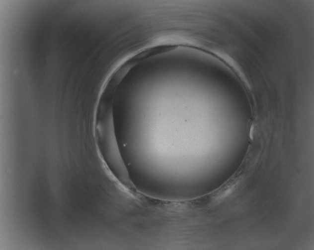 X0000067910815200604201403