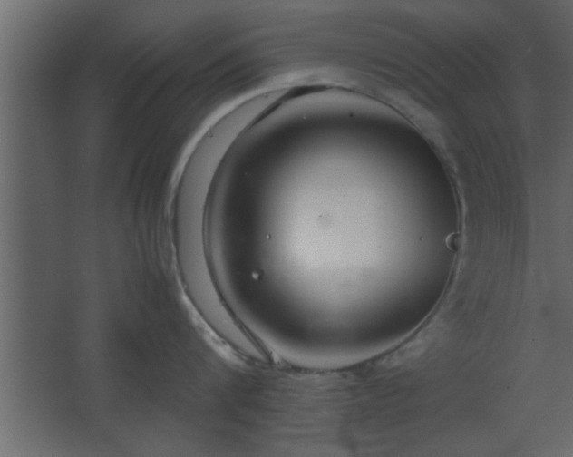 X0000067910816200604201403