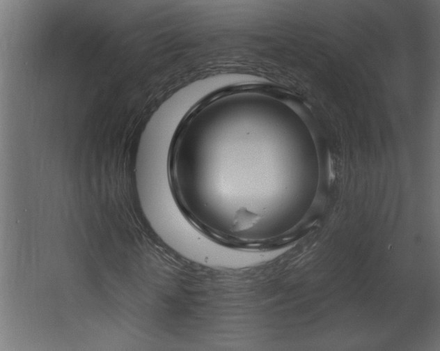 X0000067910818200604201402