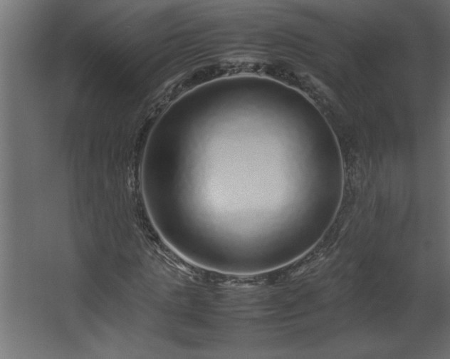 X0000067910821200604201402