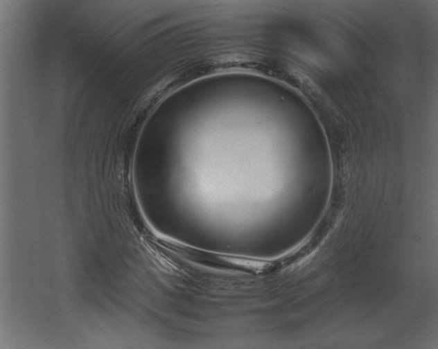 X0000067910825200604201402