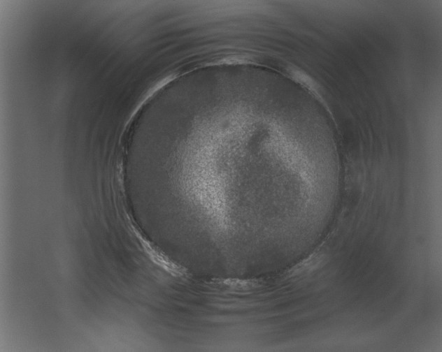 X0000067910827200604201402