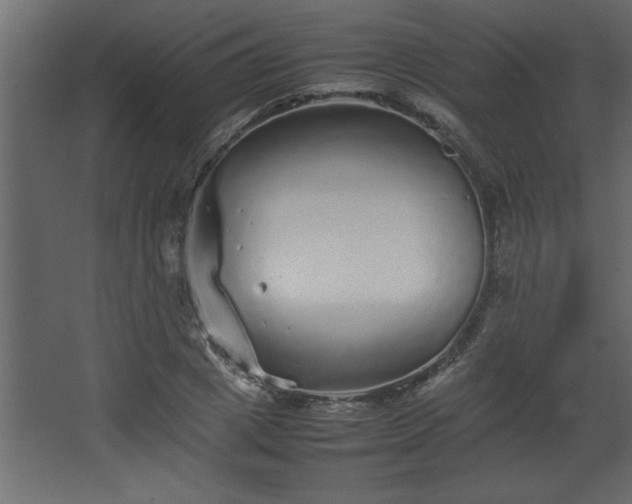 X0000067910833200604201402