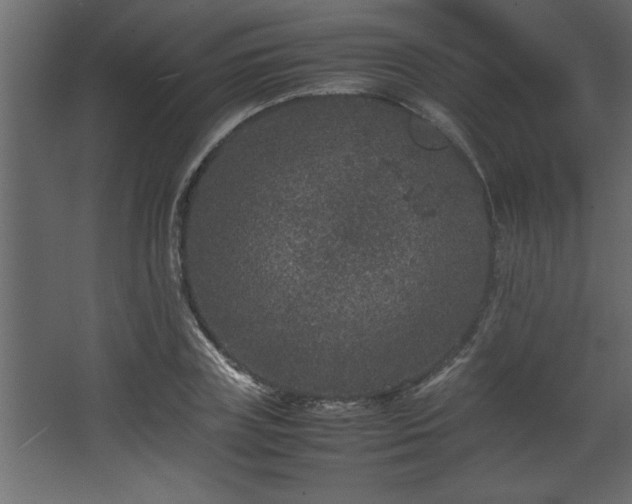 X0000067910835200604201402