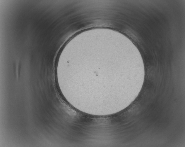 X0000067910836200604201402