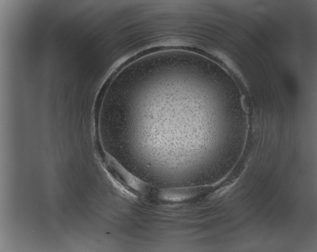 X0000067910837200604201402