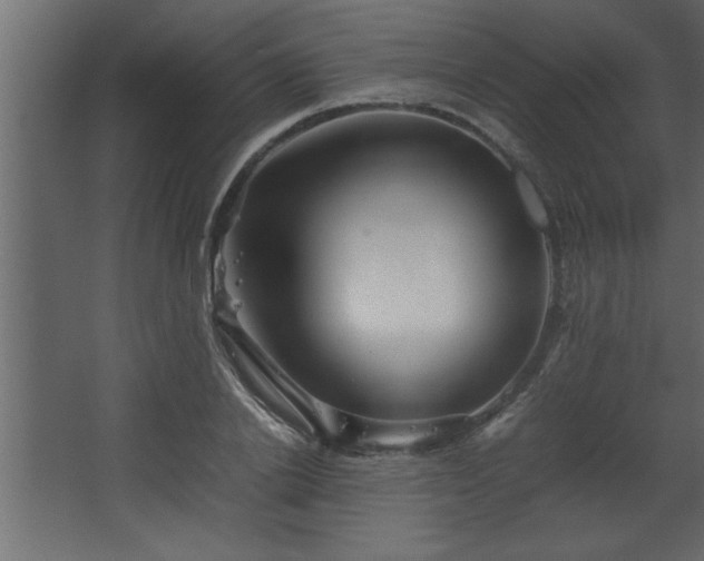 X0000067910838200604201402