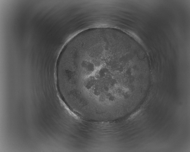 X0000067910839200604201402