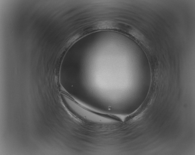 X0000067910841200604201402