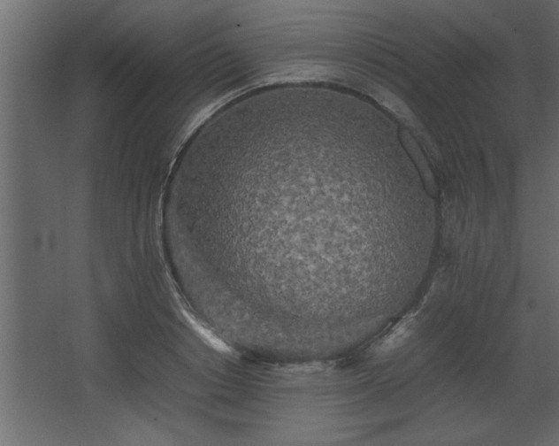 X0000067910842200604201402