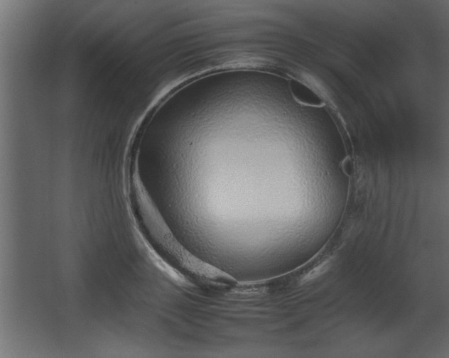 X0000067910843200604201402