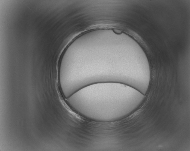 X0000067910844200604201402