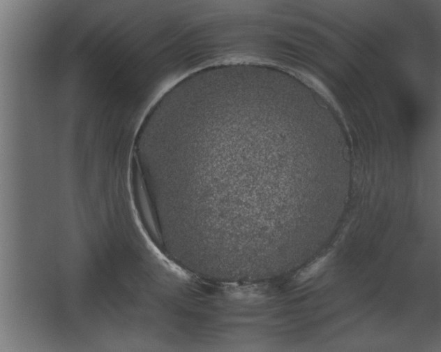 X0000067910847200604201402