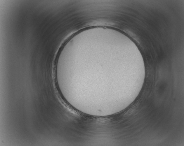 X0000067910848200604201402