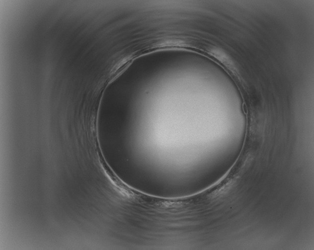 X0000067910849200604201402