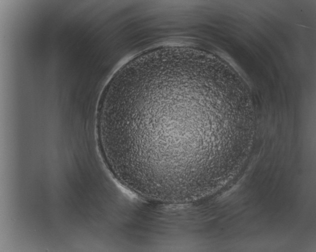 X0000067910853200604201402