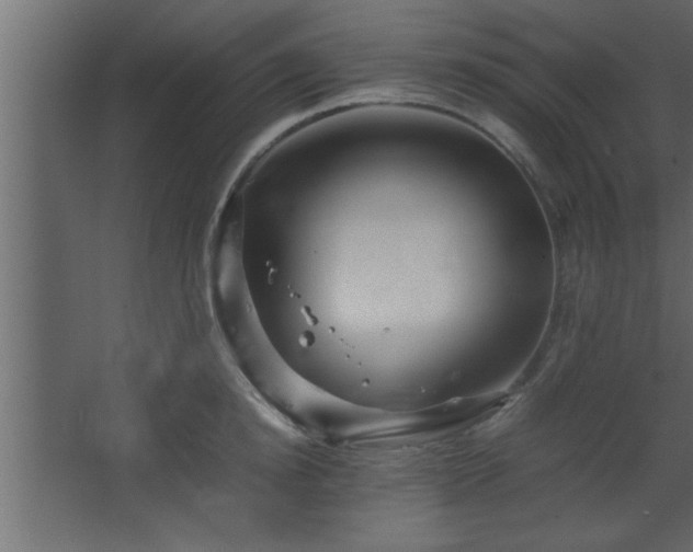 X0000067910854200604201402