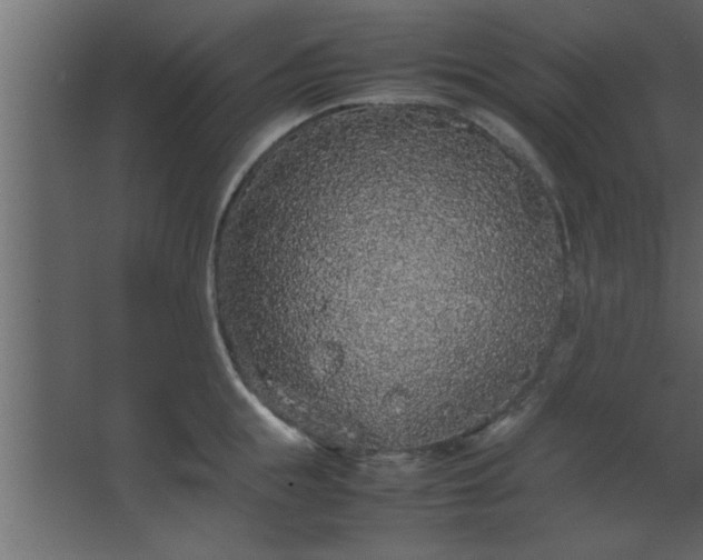 X0000067910855200604201402