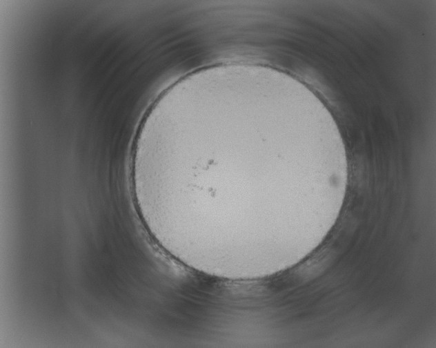 X0000067910856200604201402