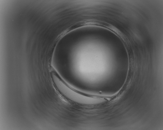 X0000067910857200604201402