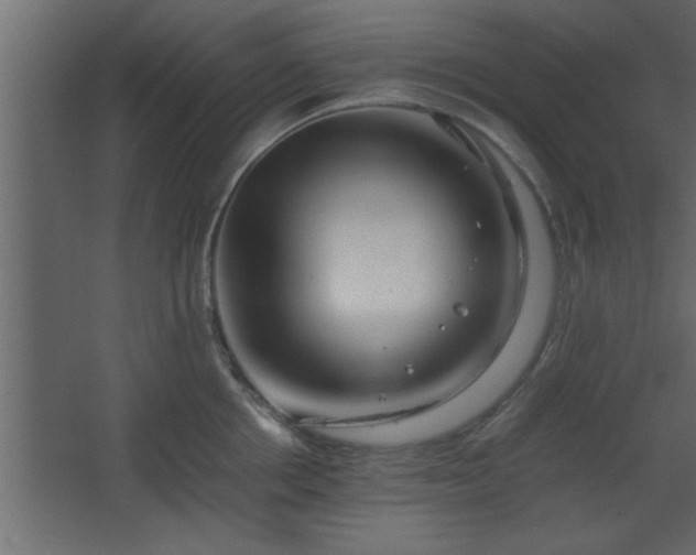 X0000067910858200604201402