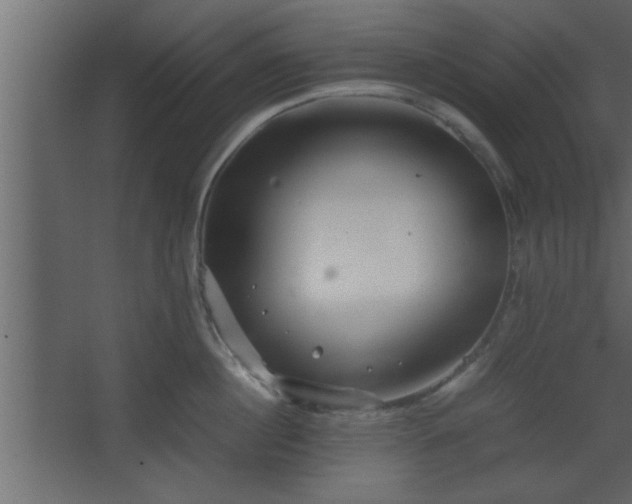 X0000067910860200604201403