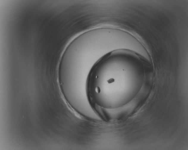 X0000067910862200604201403