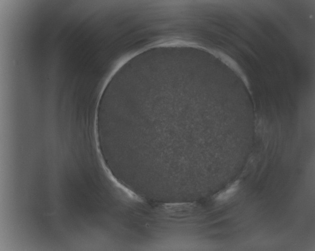 X0000067910863200604201403